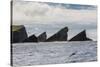 Rock Formation known as Gada's Stack on Foula Island, Shetlands, Scotland, United Kingdom, Europe-Michael Nolan-Stretched Canvas