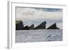 Rock Formation known as Gada's Stack on Foula Island, Shetlands, Scotland, United Kingdom, Europe-Michael Nolan-Framed Photographic Print