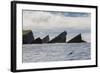 Rock Formation known as Gada's Stack on Foula Island, Shetlands, Scotland, United Kingdom, Europe-Michael Nolan-Framed Photographic Print