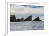 Rock Formation known as Gada's Stack on Foula Island, Shetlands, Scotland, United Kingdom, Europe-Michael Nolan-Framed Photographic Print