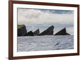 Rock Formation known as Gada's Stack on Foula Island, Shetlands, Scotland, United Kingdom, Europe-Michael Nolan-Framed Photographic Print