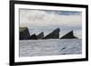 Rock Formation known as Gada's Stack on Foula Island, Shetlands, Scotland, United Kingdom, Europe-Michael Nolan-Framed Photographic Print