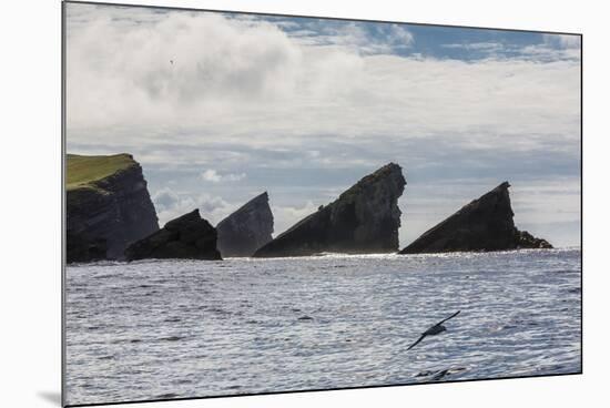 Rock Formation known as Gada's Stack on Foula Island, Shetlands, Scotland, United Kingdom, Europe-Michael Nolan-Mounted Photographic Print