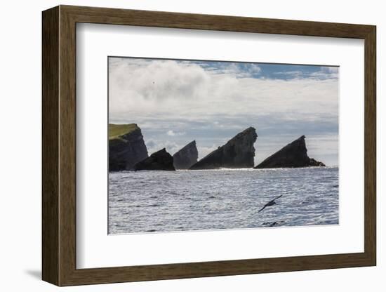 Rock Formation known as Gada's Stack on Foula Island, Shetlands, Scotland, United Kingdom, Europe-Michael Nolan-Framed Photographic Print