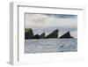 Rock Formation known as Gada's Stack on Foula Island, Shetlands, Scotland, United Kingdom, Europe-Michael Nolan-Framed Photographic Print