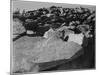 Rock Formation "Moraine Rocky Mountain National Park" Colorado 1933-1942-Ansel Adams-Mounted Art Print