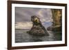 Rock formation off Bartholomew Island, Galapagos Islands, Ecuador.-Adam Jones-Framed Photographic Print