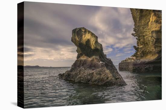 Rock formation off Bartholomew Island, Galapagos Islands, Ecuador.-Adam Jones-Stretched Canvas