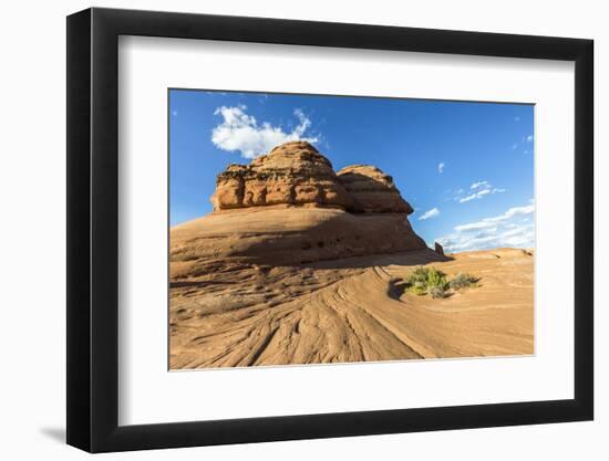 Rock formation on the way to Delicate Arch, Arches National Park, Moab, Grand County, Utah, United -Francesco Vaninetti-Framed Photographic Print