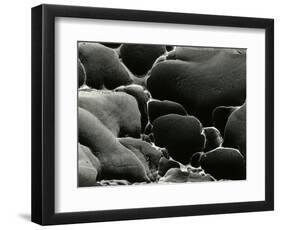 Rock Formation, Oregon, 1969-Brett Weston-Framed Photographic Print