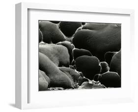 Rock Formation, Oregon, 1969-Brett Weston-Framed Photographic Print