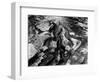 Rock Formation, Point Lobos, 1953-Brett Weston-Framed Photographic Print