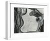 Rock Formation, Point Lobos, California, 1951-Brett Weston-Framed Photographic Print