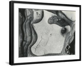 Rock Formation, Point Lobos, California, 1951-Brett Weston-Framed Photographic Print