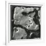 Rock Formation, Point Lobos, California, 1969-Brett Weston-Framed Photographic Print