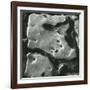 Rock Formation, Point Lobos, California, 1969-Brett Weston-Framed Photographic Print