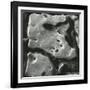 Rock Formation, Point Lobos, California, 1969-Brett Weston-Framed Photographic Print