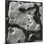 Rock Formation, Point Lobos, California, 1969-Brett Weston-Mounted Photographic Print