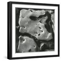 Rock Formation, Point Lobos, California, 1969-Brett Weston-Framed Photographic Print