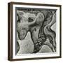 Rock Formation, Point Lobos, California, 1971-Brett Weston-Framed Premium Photographic Print