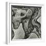 Rock Formation, Point Lobos, California, 1971-Brett Weston-Framed Premium Photographic Print