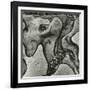 Rock Formation, Point Lobos, California, 1971-Brett Weston-Framed Photographic Print