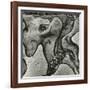 Rock Formation, Point Lobos, California, 1971-Brett Weston-Framed Photographic Print