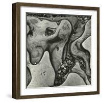 Rock Formation, Point Lobos, California, 1971-Brett Weston-Framed Photographic Print