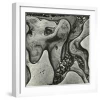 Rock Formation, Point Lobos, California, 1971-Brett Weston-Framed Photographic Print