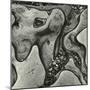 Rock Formation, Point Lobos, California, 1971-Brett Weston-Mounted Photographic Print