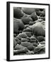 Rock Formation, Shore Acres, Oregon, 1975-Brett Weston-Framed Premium Photographic Print