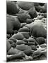 Rock Formation, Shore Acres, Oregon, 1975-Brett Weston-Mounted Premium Photographic Print