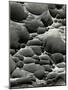 Rock Formation, Shore Acres, Oregon, 1975-Brett Weston-Mounted Photographic Print