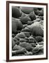 Rock Formation, Shore Acres, Oregon, 1975-Brett Weston-Framed Photographic Print