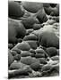 Rock Formation, Shore Acres, Oregon, 1975-Brett Weston-Mounted Photographic Print