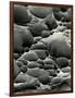 Rock Formation, Shore Acres, Oregon, 1975-Brett Weston-Framed Photographic Print