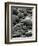 Rock Formation, Shore Acres, Oregon, 1975-Brett Weston-Framed Photographic Print