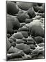 Rock Formation, Shore Acres, Oregon, 1975-Brett Weston-Mounted Photographic Print