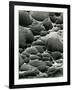 Rock Formation, Shore Acres, Oregon, 1975-Brett Weston-Framed Photographic Print