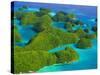 Rock Formations and Islets of the Rock Islands-Bob Krist-Stretched Canvas