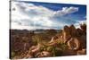 Rock Formations at Damaraland-Circumnavigation-Stretched Canvas