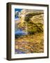 Rock formations at Pictured Rocks National Lakeshore on Upper Peninsula, Michigan-Terry Eggers-Framed Photographic Print