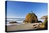 Rock Formations at Short Beach with Cape Meares, Oregon, USA-Craig Tuttle-Stretched Canvas