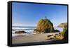 Rock Formations at Short Beach with Cape Meares, Oregon, USA-Craig Tuttle-Framed Stretched Canvas