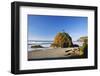 Rock Formations at Short Beach with Cape Meares, Oregon, USA-Craig Tuttle-Framed Photographic Print