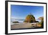 Rock Formations at Short Beach with Cape Meares, Oregon, USA-Craig Tuttle-Framed Photographic Print