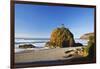 Rock Formations at Short Beach with Cape Meares, Oregon, USA-Craig Tuttle-Framed Photographic Print