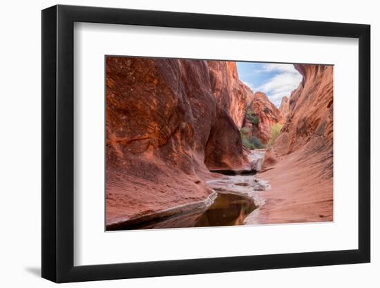 Rock formations at Water Canyon Trail, Water Canyon, St. George, Utah, USA-null-Framed Photographic Print