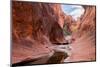 Rock formations at Water Canyon Trail, Water Canyon, St. George, Utah, USA-null-Mounted Photographic Print