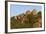 Rock formations, Big Cave Camp, Matopos Hills, Zimbabwe, Africa-David Wall-Framed Photographic Print